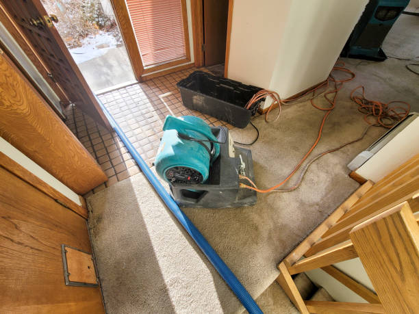 Chase City, VA Water damage restoration Company